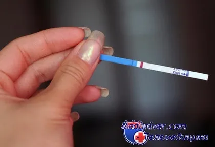цикл