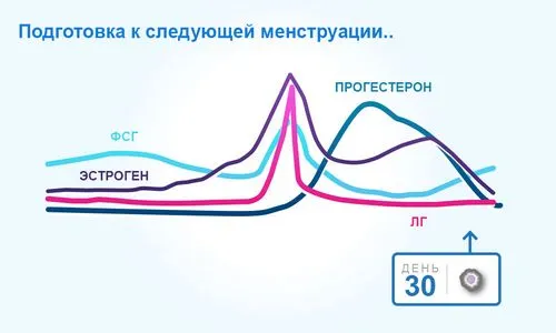 цикл