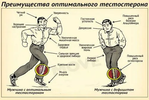 циклу