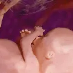 в які дні циклу можна завагітніти овуляція як визначити день овуляції можна завагітніти до місячних і після можна завагітніти під час менструації кращі дні зачаття