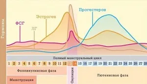 дівчаток