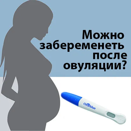 чи можна завагітніти дівчинкою після овуляції