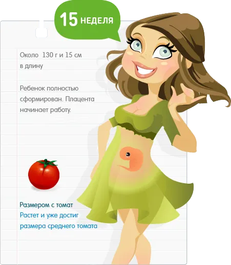 розвиток дитини під час вагітності