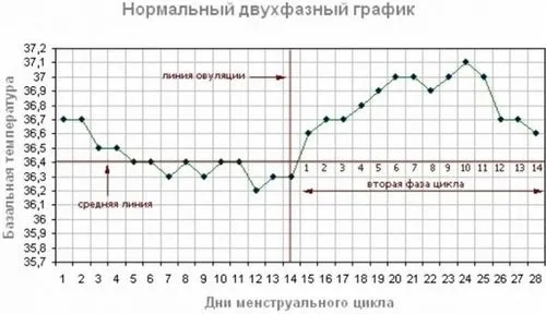 базальна температура в перші тижні вагітності