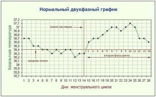 як виглядає графік базальної температури при вагітності