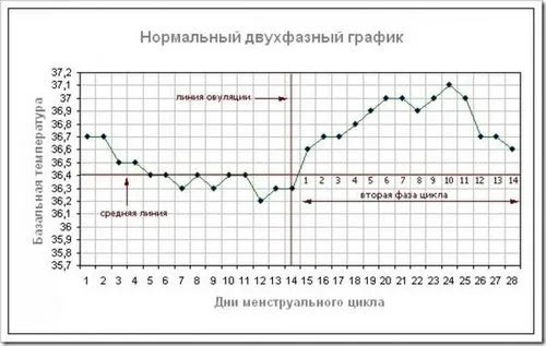 базальна температура в перші тижні вагітності
