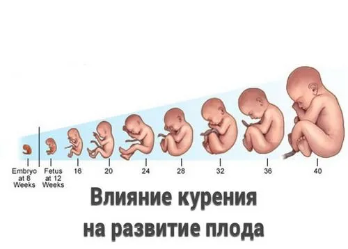 вплив куріння на розвиток плода під час вагітності