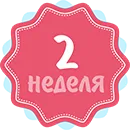 другий тиждень вагітності