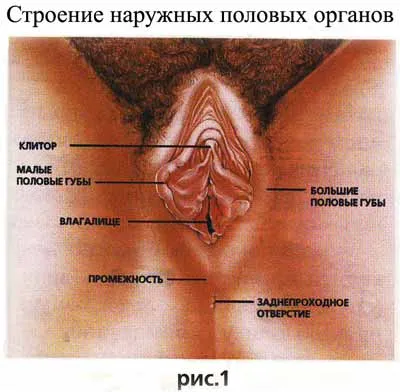 пологовий травматизм матері