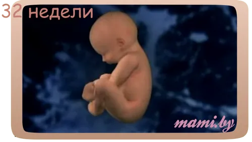 вагітність 31 32 тижні
