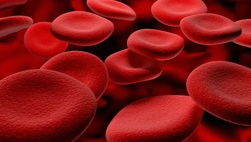 гемоглобін при вагітність норма