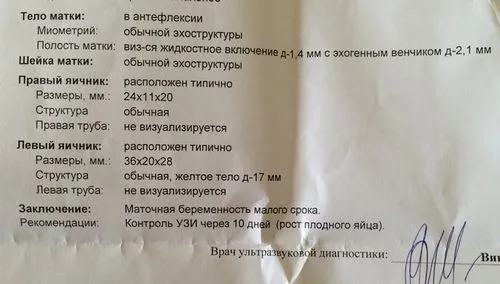 6 тиждень вагітності розмір плода