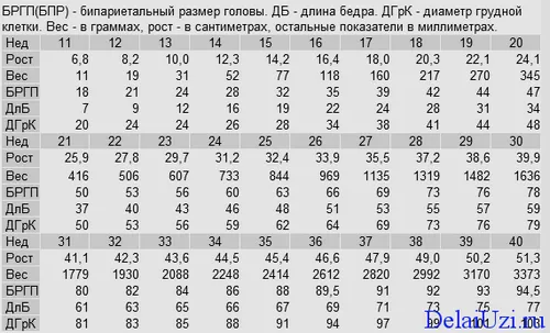 узі вагітність розшифровка результат