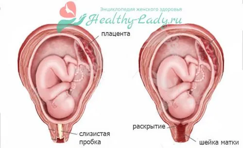 виділення перед пологами