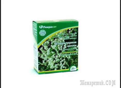 бузина від кашлю під час вагітності