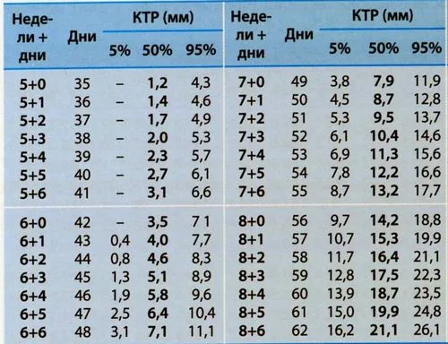 6 тиждень вагітності розмір плода