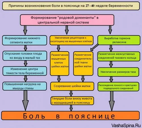 28 тиждень вагітності болить живіт