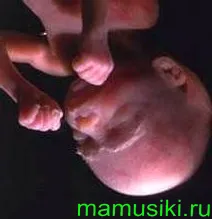 двадцять третій тиждень вагітності
