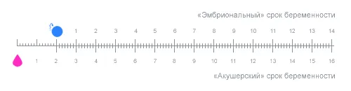 узі
