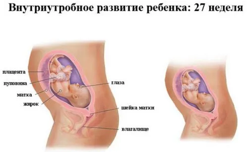 чому не можна під час вагітності