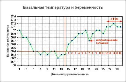 Температура під час вагітності як збити температуру при вагітності