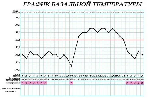перші ознаки вагітності на першому тижні