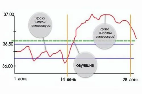 низька базальна температура під час вагітності