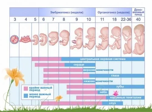 37 тиждень вагітності печія