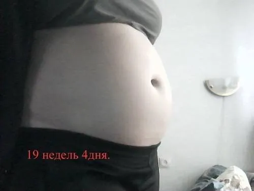 19 тиждень вагітності опис
