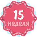 вагітність 15 тиждень