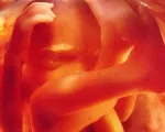 27 тиждень вагітності харчування