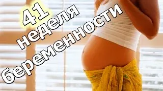 вагітність 41 тиждень