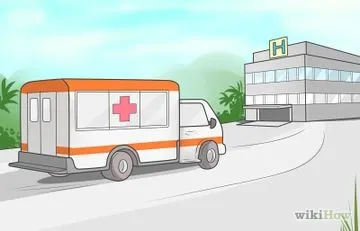 Як підробити тест на вагітність що таке тест на вагітність