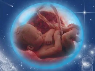 внутрішньоутробний розвиток плода по тижнях