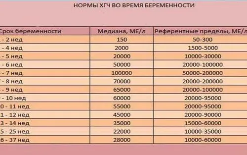 аналіз крові на вагітність ХГЧ