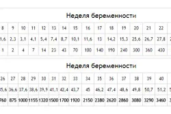 перший по підлозі