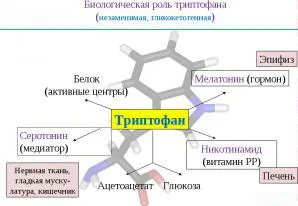 що їсти мамі яка годує грудьми