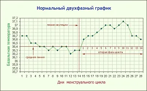 базальна температура норма