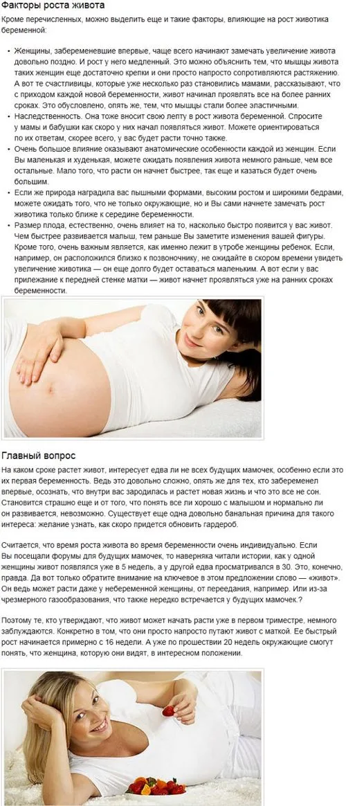 коли живіт починає рости при вагітності