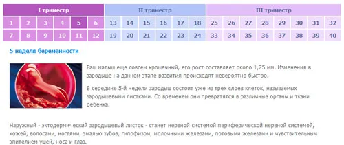 вагітність 37 тижнів молочниця