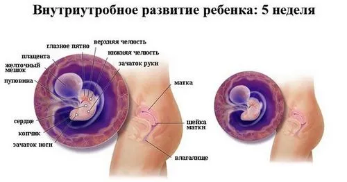 вагітність 37 тижнів молочниця