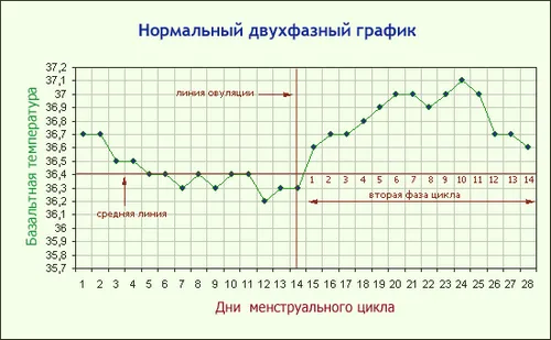графік базальна температура норма шаблон вагітний