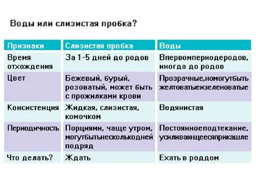як відходить пробка у вагітних