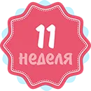 одинадцята тиждень вагітності