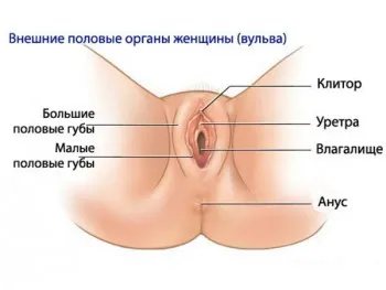 як змінюється піхву під час вагітності