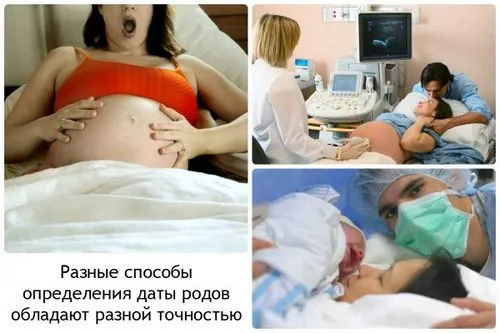 як визначити термін пологів