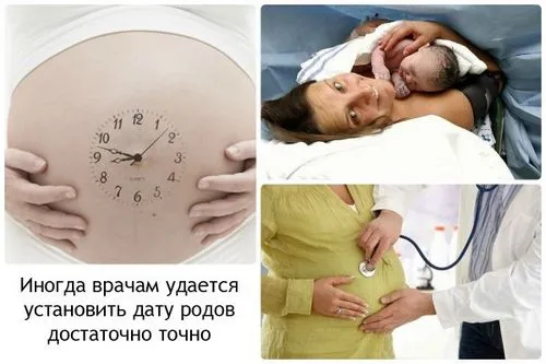 як визначити термін пологів
