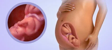 дитини