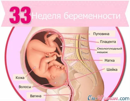 33 тиждень вагітності болю в животі