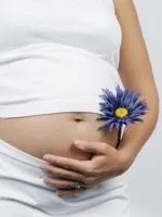 9 Акушерська тиждень вагітності вагітність 9 акушерських тижнів